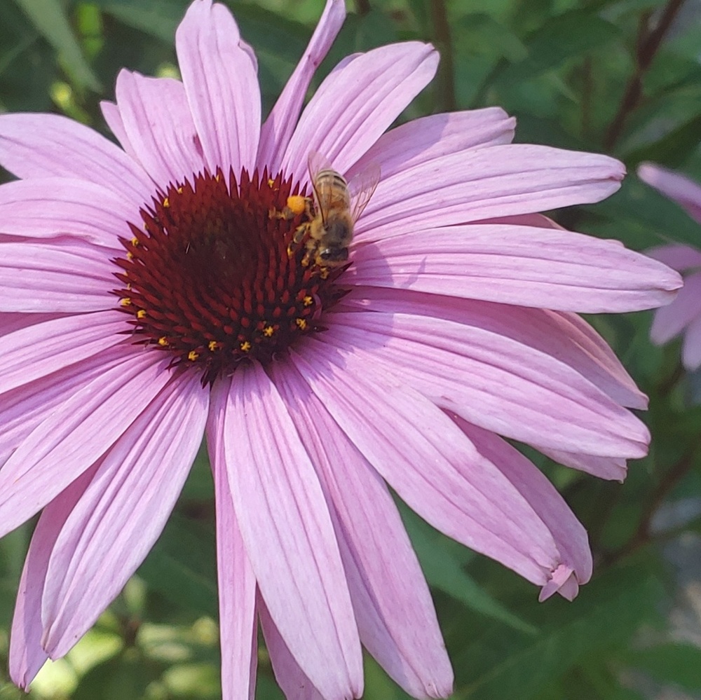 Meet your Posher, Tara